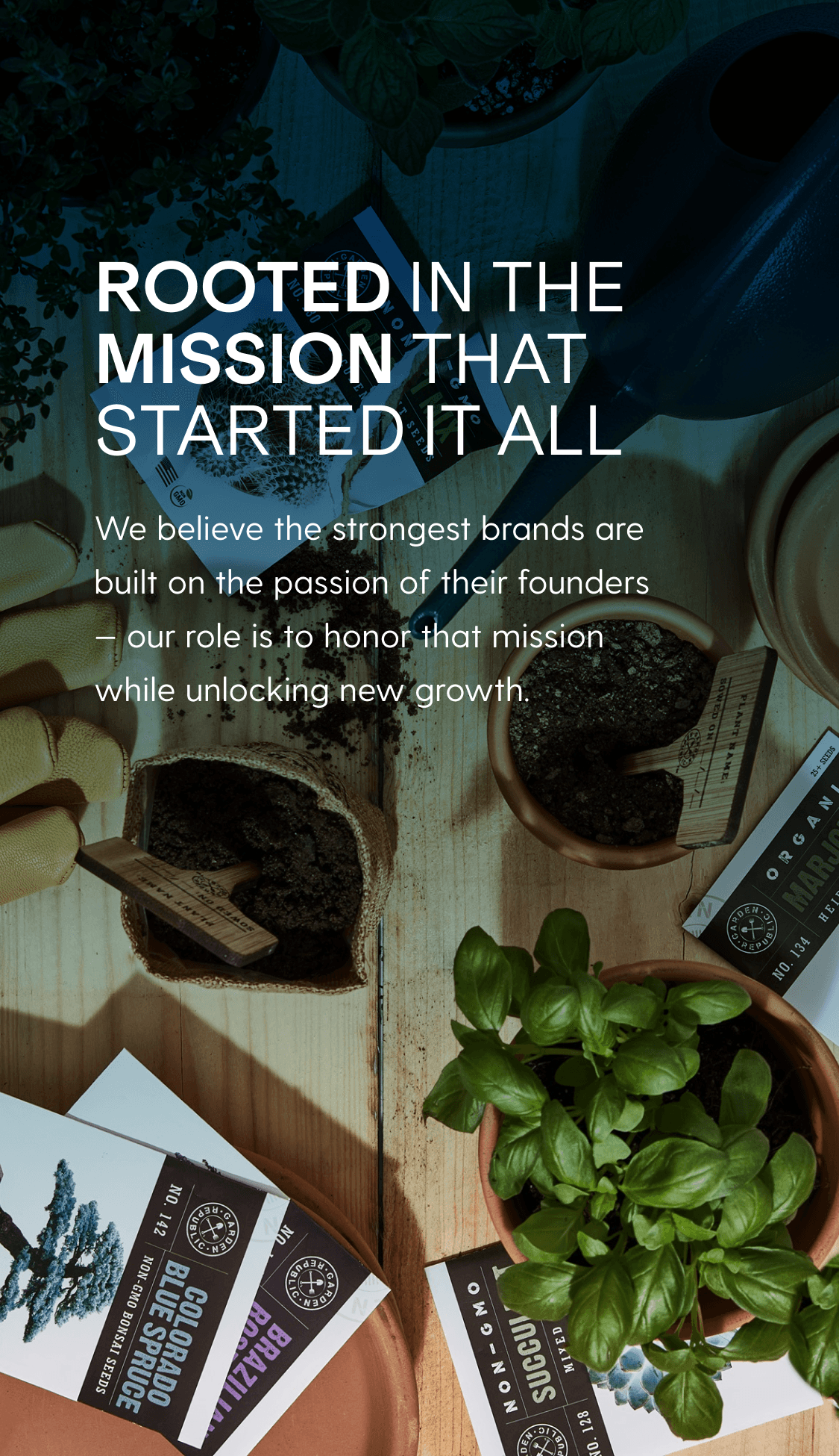 Rooted in the Mission