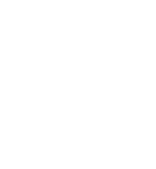 Stay Customer-Focused