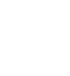 Stay Customer-Focused