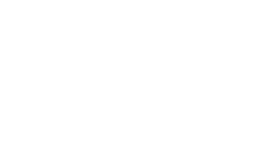 Big Fudge logo