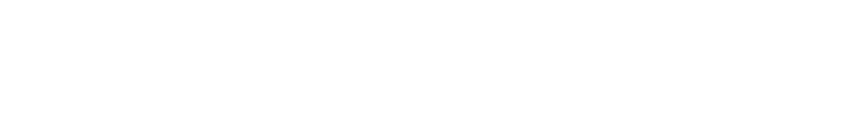 Navaris logo