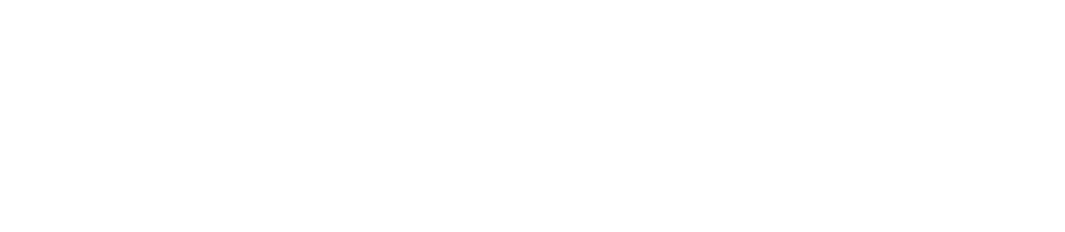Sun Ninja logo
